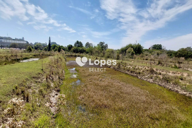 Imagem Terreno à Venda, 74.000 m² em Guedes - Jaguariúna Imagem Terreno à Venda, 74.000 m² em Guedes - Jaguariúna