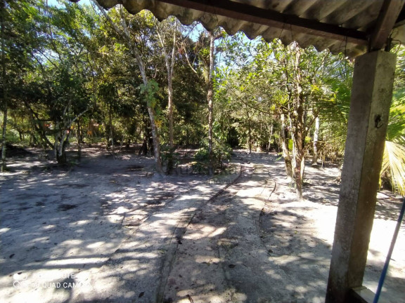 Imagem Chácara com 2 Quartos à Venda, 4.344 m² em Jardim Coronel - Itanhaém