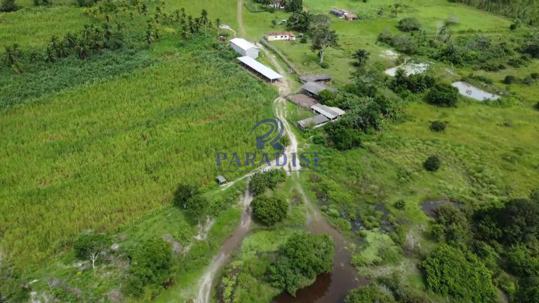 Imagem Fazenda à Venda, 1.960.000 m² em Zona Rural - Cardeal Da Silva Imagem Fazenda à Venda, 1.960.000 m² em Zona Rural - Cardeal Da Silva