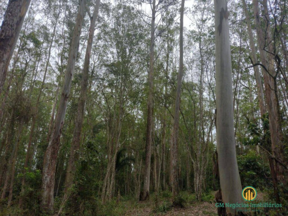 Imagem Terreno à Venda, 96.800 m² em Jardim Museu - Cotia Imagem Terreno à Venda, 96.800 m² em Jardim Museu - Cotia