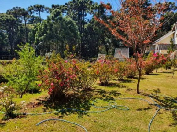 Imagem Casa com 3 Quartos à Venda, 2.000 m² em Campos Do Jordão Imagem Casa com 3 Quartos à Venda, 2.000 m² em Campos Do Jordão