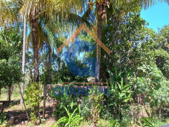 Imagem Imóvel com 3 Quartos à Venda, em Planalto Bela Vista - Mogi Mirim Imagem Imóvel com 3 Quartos à Venda, em Planalto Bela Vista - Mogi Mirim