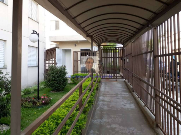 Imagem Apartamento com 3 Quartos à Venda, 60 m² em Jardim Rosalina - Cotia Imagem Apartamento com 3 Quartos à Venda, 60 m² em Jardim Rosalina - Cotia