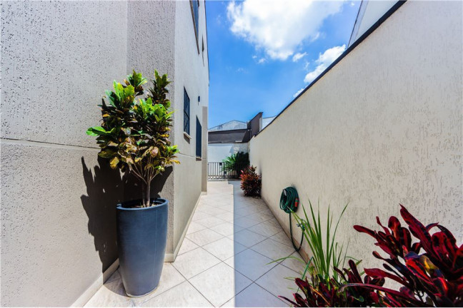 Imagem Casa com 3 Quartos à Venda, em Mooca - São Paulo Imagem Casa com 3 Quartos à Venda, em Mooca - São Paulo