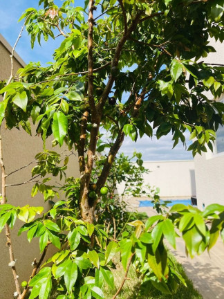 Imagem Sobrado com 2 Quartos à Venda, 147 m² em Condomínio Vem Viver Jacareí - Jacareí Imagem Sobrado com 2 Quartos à Venda, 147 m² em Condomínio Vem Viver Jacareí - Jacareí