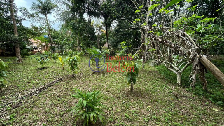 Imagem Casa com 4 Quartos à Venda, 3.970 m² em Centro - Vigia Imagem Casa com 4 Quartos à Venda, 3.970 m² em Centro - Vigia