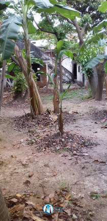 Imagem Terreno à Venda, 500 m² em Vila Rosário - Duque De Caxias