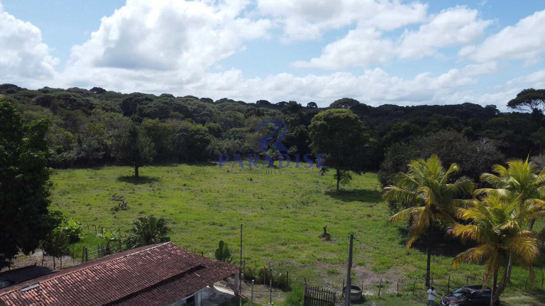 Imagem Fazenda à Venda, 156.000 m² em Zona Rural - Esplanada Imagem Fazenda à Venda, 156.000 m² em Zona Rural - Esplanada