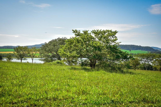Imagem Fazenda à Venda, 2.000 m² em Zona Rural - Conquista Imagem Fazenda à Venda, 2.000 m² em Zona Rural - Conquista