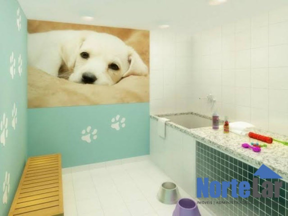 Imagem Apartamento com 2 Quartos à Venda, 50 m² em Vila Bruna - São Paulo Imagem Apartamento com 2 Quartos à Venda, 50 m² em Vila Bruna - São Paulo