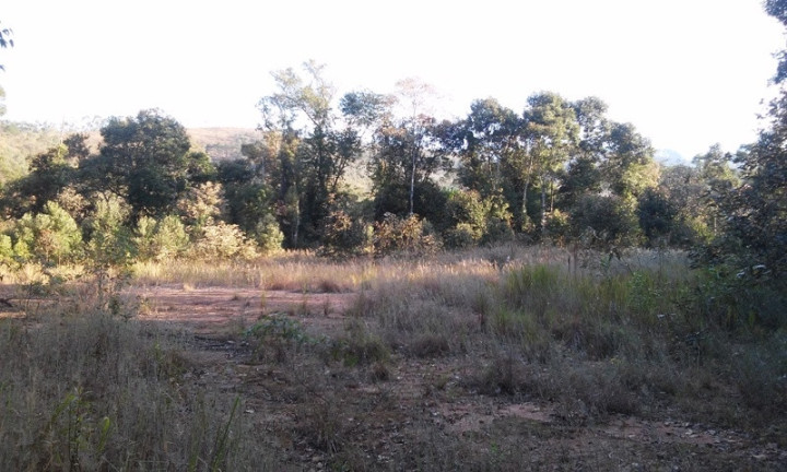 Imagem Terreno à Venda, 34 m² em Terra Preta - Mairiporã