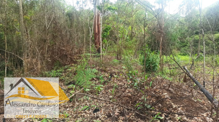 Imagem Terreno à Venda, 18.000 m² em Campo Do Coelho - Nova Friburgo Imagem Terreno à Venda, 18.000 m² em Campo Do Coelho - Nova Friburgo