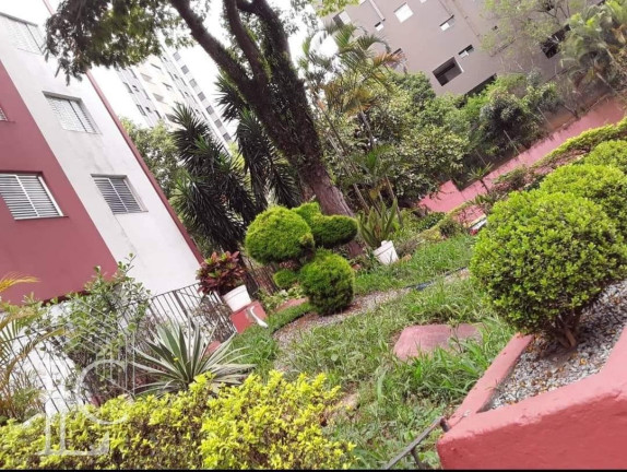 Imagem Apartamento com 2 Quartos à Venda, 55 m² em Cidade Ademar - São Paulo Imagem Apartamento com 2 Quartos à Venda, 55 m² em Cidade Ademar - São Paulo