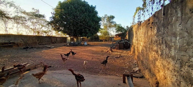 Imagem Terreno à Venda, 2 m² em Cuiabá Imagem Terreno à Venda, 2 m² em Cuiabá