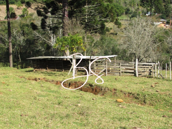 Imagem Imóvel com 2 Quartos à Venda, em Linha Bonita - Gramado Imagem Imóvel com 2 Quartos à Venda, em Linha Bonita - Gramado
