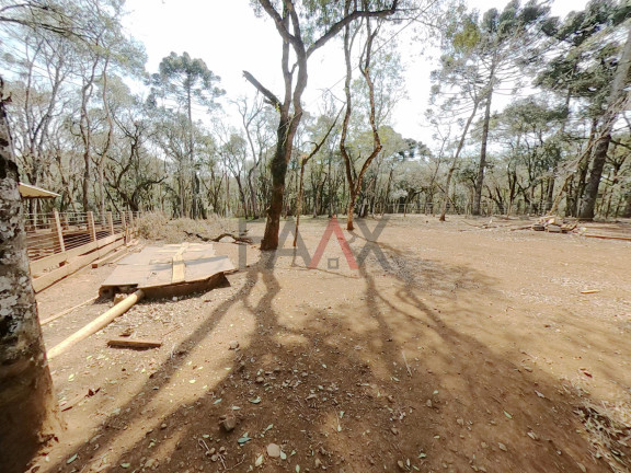Imagem Fazenda à Venda, 24.200 m² em Morro Alto - Guarapuava Imagem Fazenda à Venda, 24.200 m² em Morro Alto - Guarapuava