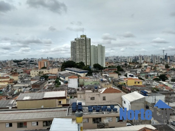Imagem Apartamento com 2 Quartos à Venda, 54 m² em Casa Verde Alta - São Paulo Imagem Apartamento com 2 Quartos à Venda, 54 m² em Casa Verde Alta - São Paulo