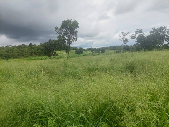Imagem Chácara com 3 Quartos à Venda, 120 m² em Distrito Da Guia - Cuiabá Imagem Chácara com 3 Quartos à Venda, 120 m² em Distrito Da Guia - Cuiabá