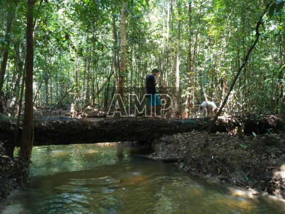 Imagem Imóvel com 3 Quartos à Venda, 5.000 m² em Centro - Rio Preto Da Eva