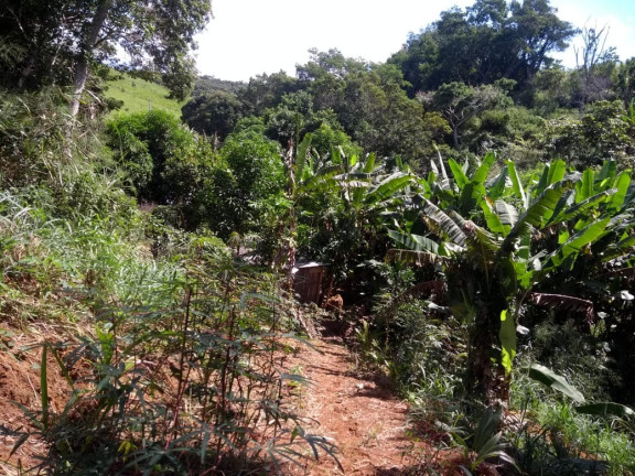 Imagem Imóvel com 2 Quartos à Venda,  em Palmeira - Guarapari