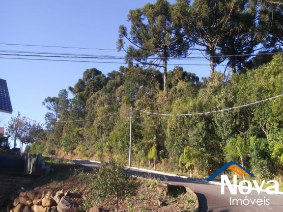 Imagem Imóvel à Venda, em Canto Akermann - Nova Petrópolis Imagem Imóvel à Venda, em Canto Akermann - Nova Petrópolis