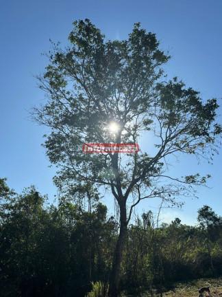 Imagem Terreno à Venda, 6.000 m² em Cidade Jardim Parque Estoril - Nova Iguaçu Imagem Terreno à Venda, 6.000 m² em Cidade Jardim Parque Estoril - Nova Iguaçu
