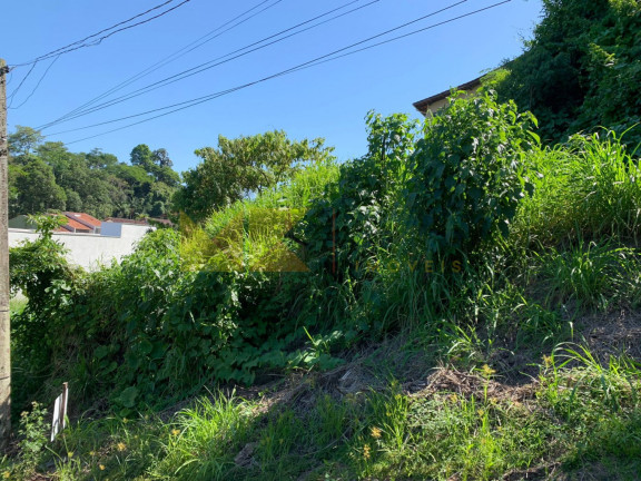 Imagem Imóvel à Venda, 450 m² em Escola Agrícola - Blumenau