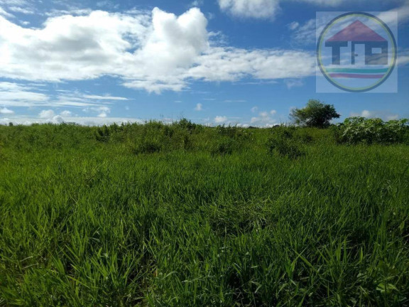 Imagem Fazenda à Venda, 105.512 m² em Logradouro Sem Nome, Marabá - Pa, Brasil -5.523790, -49.041041 - Marabá Imagem Fazenda à Venda, 105.512 m² em Logradouro Sem Nome, Marabá - Pa, Brasil -5.523790, -49.041041 - Marabá