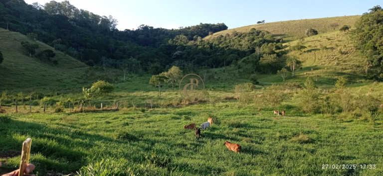 Imagem Fazenda à Venda, 1.010.000 m² em Jardim São Dimas - São José Dos Campos