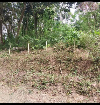 Imagem Terreno à Venda, 1.000 m² em Jardim Dos Eucaliptos - Suzano