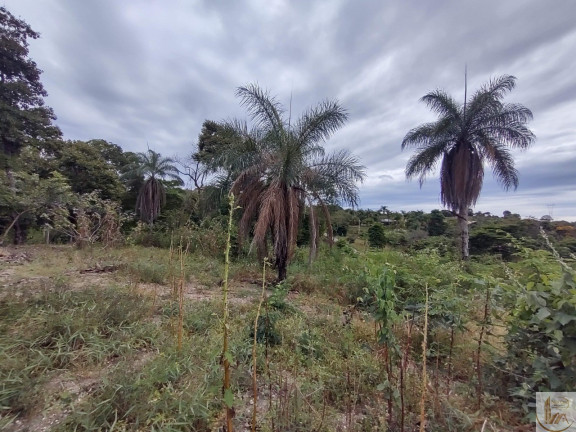 Imagem Terreno à Venda, 7.700 m² em Fazendinha Do Barão - Santa Luzia Imagem Terreno à Venda, 7.700 m² em Fazendinha Do Barão - Santa Luzia