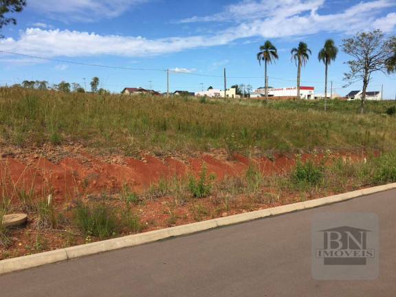Imagem Terreno à Venda, 348 m² em João Alves - Santa Cruz Do Sul Imagem Terreno à Venda, 348 m² em João Alves - Santa Cruz Do Sul