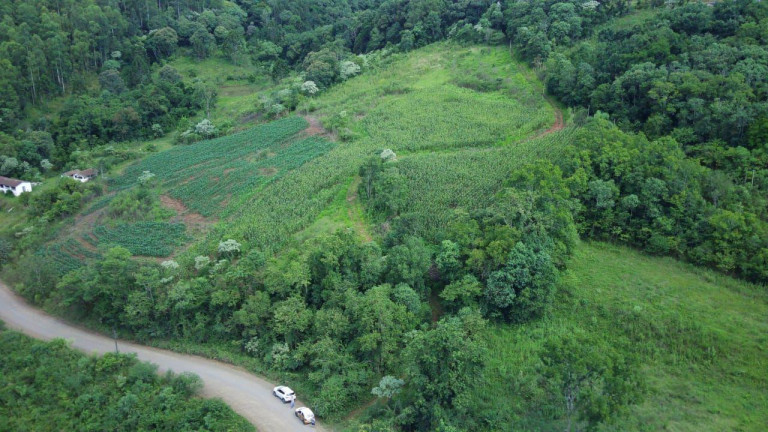Imagem Terreno à Venda, 12.455 m² em Primavera - Concórdia Imagem Terreno à Venda, 12.455 m² em Primavera - Concórdia
