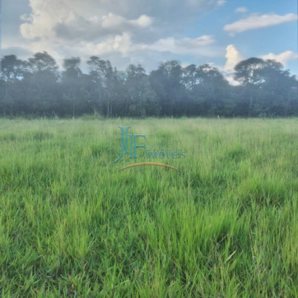 Imagem Imóvel com 4 Quartos à Venda, 105.000 m² em Centro - Cajuru Imagem Imóvel com 4 Quartos à Venda, 105.000 m² em Centro - Cajuru