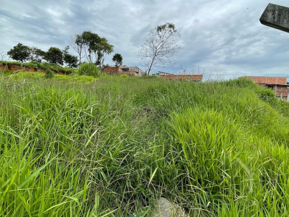 Imagem Terreno à Venda, 3.600 m² em Jardim Cerejeiras - Arujá