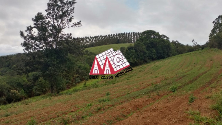 Imagem Imóvel com 3 Quartos à Venda, 968.000 m² em Pilar Do Sul - Pilar Do Sul Imagem Imóvel com 3 Quartos à Venda, 968.000 m² em Pilar Do Sul - Pilar Do Sul