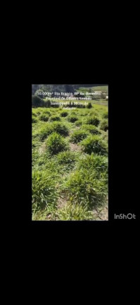 Imagem Terreno à Venda, 10.000 m² em Centro - Santa Branca
