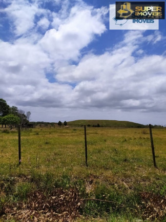 Imagem Imóvel com 2 Quartos à Venda, 60.000 m² em Quinta - Rio Grande