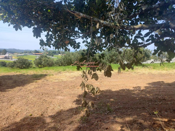 Imagem Chácara à Venda, 2.000 m² Imagem Chácara à Venda, 2.000 m²