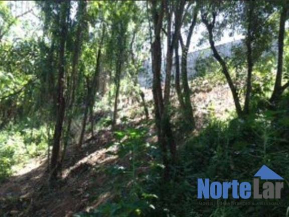 Imagem Terreno à Venda, 312 m² em Jardim Virginia Bianca - São Paulo Imagem Terreno à Venda, 312 m² em Jardim Virginia Bianca - São Paulo