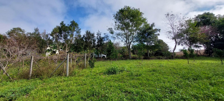 Imagem Chácara com 2 Quartos à Venda, 1 m² em Bateias - Campo Largo