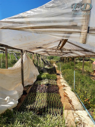 Imagem Chácara à Venda, 75.000 m² em Tanque - Atibaia Imagem Chácara à Venda, 75.000 m² em Tanque - Atibaia