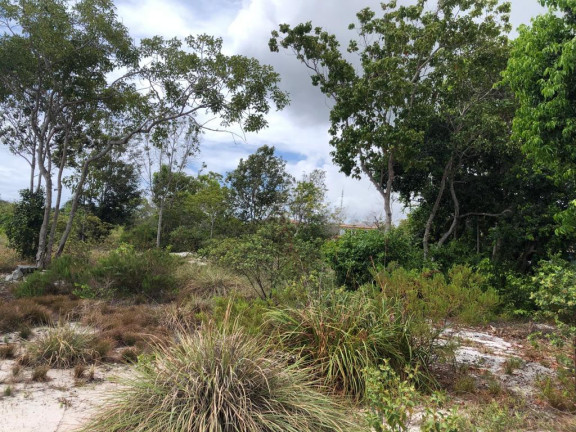 Imagem Terreno à Venda, 700 m² em Praia Do Forte - Mata De São João