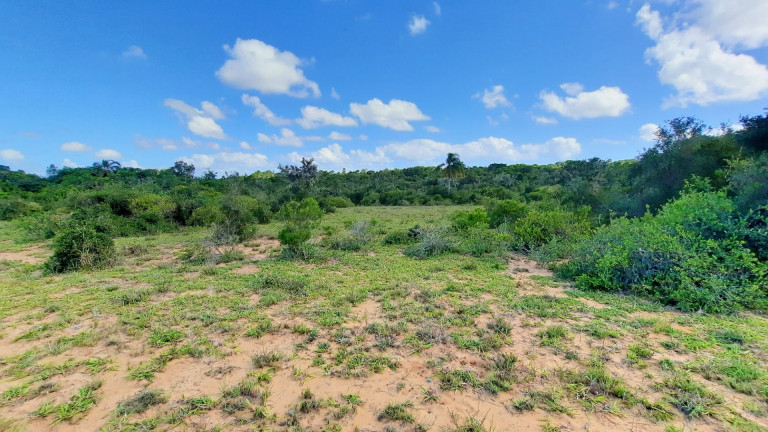 Imagem Fazenda à Venda, 900.000 m² em Centro - Viamão Imagem Fazenda à Venda, 900.000 m² em Centro - Viamão