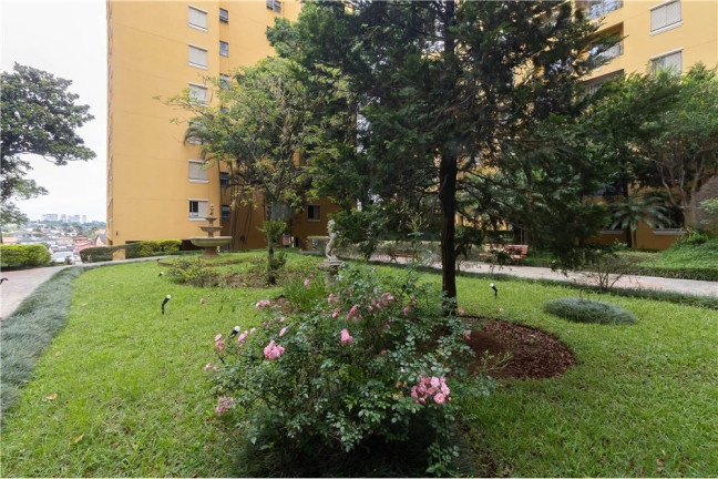 Imagem Apartamento com 3 Quartos à Venda, 64 m² em Vila Sônia - São Paulo Imagem Apartamento com 3 Quartos à Venda, 64 m² em Vila Sônia - São Paulo
