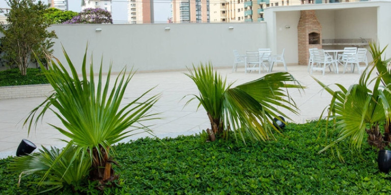Imagem Apartamento com 2 Quartos à Venda, 60 m² em Campestre - Santo André