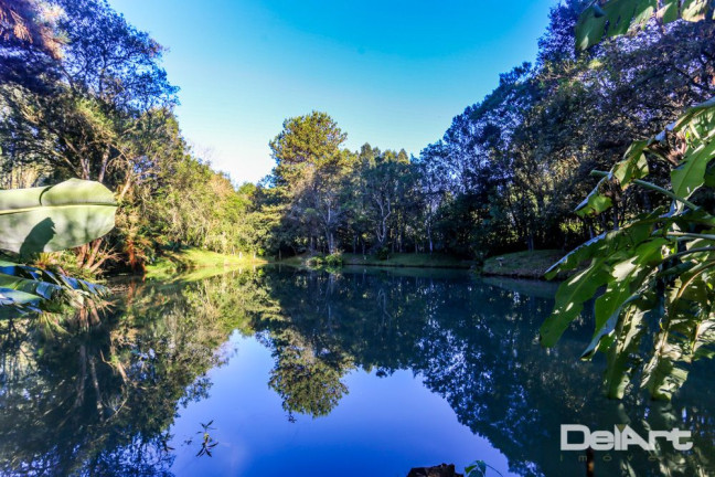 Imagem Chácara com 4 Quartos à Venda, 200 m² em área Rural - Mafra Imagem Chácara com 4 Quartos à Venda, 200 m² em área Rural - Mafra