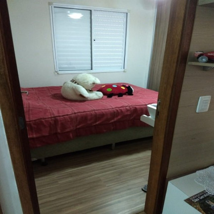 Imagem Apartamento com 2 Quartos à Venda, 48 m² em Jardim ísis - Cotia Imagem Apartamento com 2 Quartos à Venda, 48 m² em Jardim ísis - Cotia