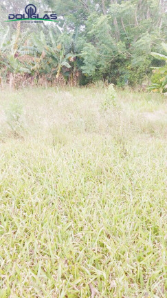 Imagem Terreno à Venda, 600 m² em águas Claras - Viamão