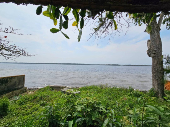 Imagem Terreno à Venda, 444 m² em Pinheiros - Balneário Barra Do Sul Imagem Terreno à Venda, 444 m² em Pinheiros - Balneário Barra Do Sul